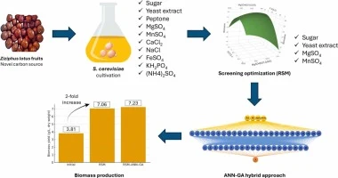 Optimizing Saccharomyces cerevisiae biomass production with