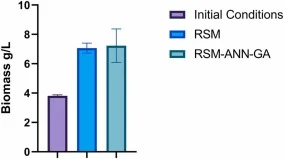 未优化(初始条件)、RSM和RSM–ANN–GA优化条件下的生物质产量。