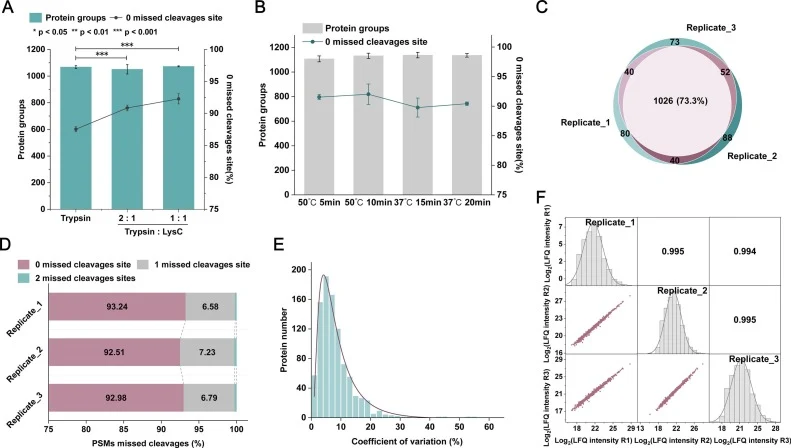 Development and optimization of SPC strategy. (A) Comparison of enzymes used for the number of identified protein groups and percentage of PSMs with zero missed cleavage site under three biological replicates (n = 3, ANOVA). (B) Protein groups and percentage of PSMs with zero missed cleavage site of
