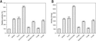 Relative (A) and absolute (B) ABTS-specific activity of CotA and its variants. Specific enzyme activity is measured using ABTS as the substrate at pH 4.2 and 42 °C. Data are expressed as means ± SD from three independent experiments. Significant differences are determined by ANOVA analysis (**: P <