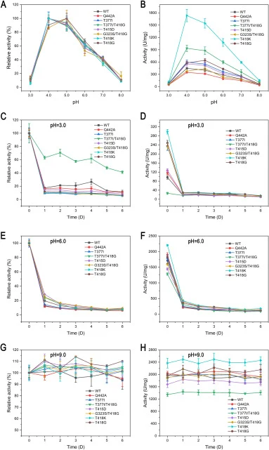 Effects of different pH on the activity (A, B) and stability (C–H) of CotA and its variants at 42 °C, using ABTS as the substrate. Enzyme activity is measured across the pH range of 2.0–8.0 and is expressed as relative activity (A) and absolute activity (B). Stability is assessed at pH 3.0 (C, D), p