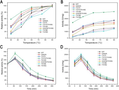 Effects of temperature on the activity (A, B) and stability (C, D) of wild-type CotA and its variants, using ABTS as the substrate. Enzyme activity is measured at temperatures ranging from 30 to 90 °C, expressed as relative activity (A) and absolute activity (B). Thermal stability at 80 °C is evalua