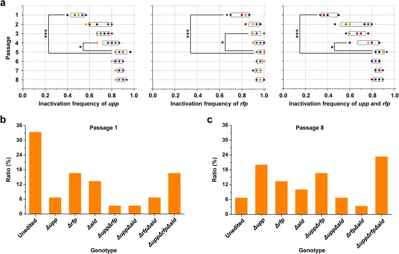 Double- and triple-locus base editing by nCas9(D10A)-AID in C. glutamicum. (a) The independent and double phenotypic inactivation frequencies for upp and rfp. Six biological replicates are shown in different colors. Box bars indicate 95% confidence interval for a sample mean by t-test statistical an