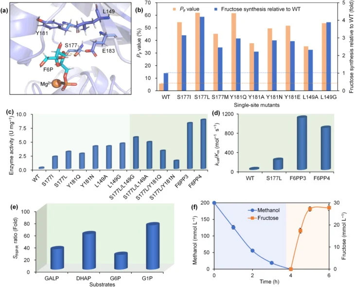 Engineering of phosphatase for enhanced activity and specificity to F6P. (a) Structural model showing the amino acid residues surrounding the sugar ring of F6P in Ts38HPase. (b) The screening results of various single-site mutants. The P F value was calculated by the ratio of fructose concentration