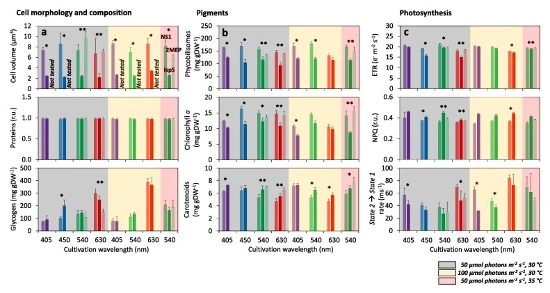 Effect of light quality, light intensity and temperature on cell volume, cell composition and photosynthetic performance of NS1 (left bars), 2MEP (middle bars) and IspS (right bars) strains. Under low light intensity (grey), increased light intensity (yellow) and increased temperature (pink), the fo