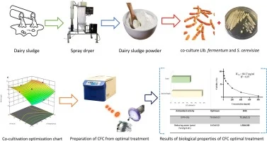 Optimization of dairy sludge fermentation culture medium to