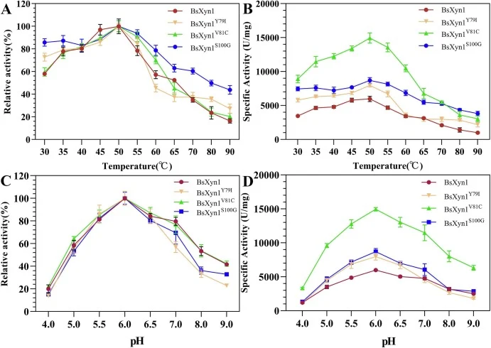 Optimal temperatures and pH of BsXyn1 and its beneficial mutants. (A-B) Relative (A) and specific (B) activities of BsXyn1 and its beneficial mutants, BsXyn1Y79I, BsXyn1V81C, and BsXyn1S100G across a temperature range of 30–90 °C. (C-D) Relative (C) and specific (D) activities of BsXyn1 and its bene