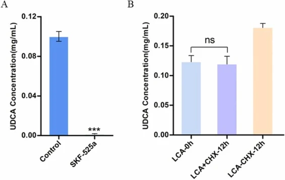 Effect of inhibitors on the enzymatic activity. (A) Effect of SKF-525a on 7β-hydroxylation activity in F. equiseti HG18. (B) Effect of CHX on the enzymatic activity. L-0 h:CHX untreated control at 0 h; L+CHX-12 h:CHX treated group at 12 h; L-CHX-12 h:CHX untreated group at 12 h. Data were the mean ±