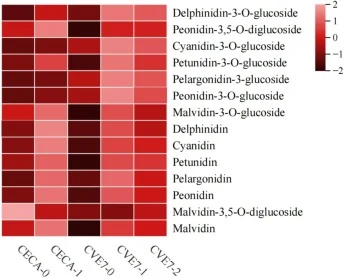Composition of monomeric anthocyanins in wine samples by US fermentation.
