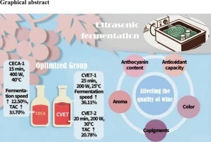 Strategic ultrasonic regulation of Saccharomyces cerevisiae