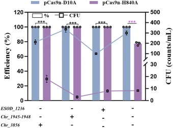 图1/图2 CRISPR/Cas9n多重基因组编辑的CFU和编辑效率。所有误差棒表示三次生物学重复实验计算的标准差。效率(紫色***)和CFU(黑色***)的统计学显著性采用非配对t检验评估。
