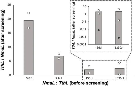 Performance evaluation of the screening system under condition B. The ratio of the TthL gene to the NmaL gene (TthL/NmaL) was quantified by qPCR before and after screening. Inset, expanded figure with NmaL:TthL of 136:1 and 1330:1. Black dot in the bar shows the initial value of TthL/NmaL in each ca