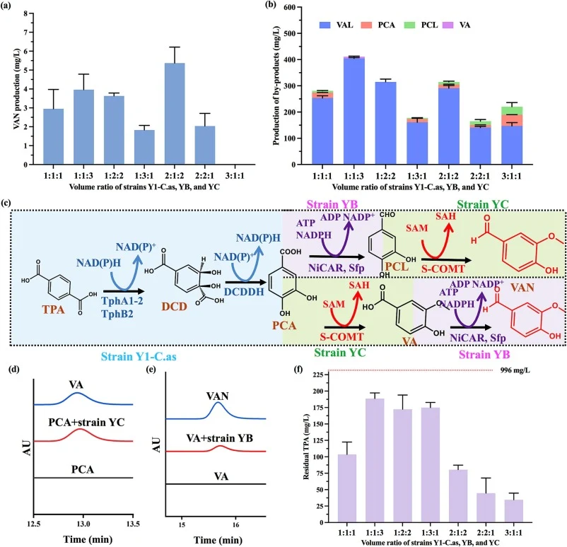 VAN conversion in the triple-microbe system. The effects of strains Y1-C.as, YB and YC with different volume ratios on the production of VAN (a) and intermediates (b). (c) Overview of VAN conversion pathway. Strain Y1-C.as with overexpression of TPADO and DCDDH for converting TPA to PCA. Strain YB w