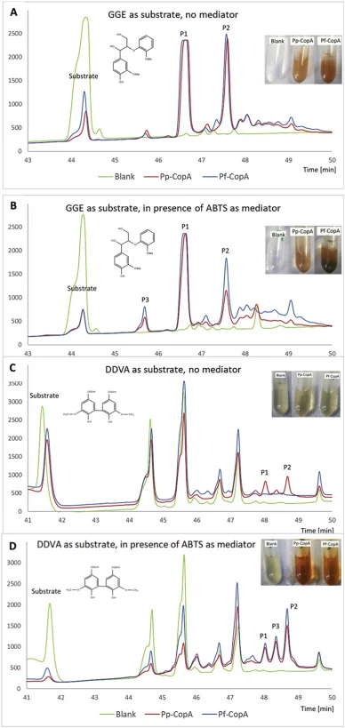 UV–Vis chromatograms showing products formation after reaction of lignin model compounds with Pp-CopA and Pf-CopA. In the right-upper side of each graphic, a mini-photo shows the actual reaction after incubation of each enzyme with the substrate. (A) GGE as substrate, in absence of mediator. (B) GGE