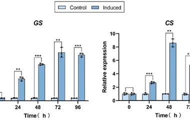 Gene expression levels of GS and CS in C. roseus transgenic hairy roots. The hairy roots overexpressing GS and CS were i