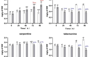 Alkaloid content in transgenic C. roseus hairy roots under induced and control conditions for different time periods. St