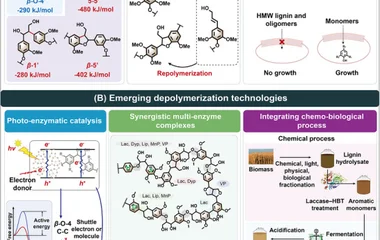 The major bottlenecks and emerging technological solutions in lignin depolymerization. (A) Key challenges include the hi