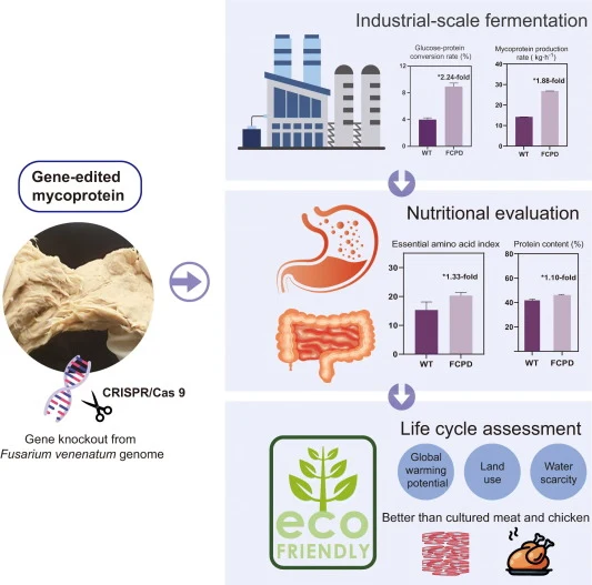 Dual enhancement of mycoprotein nutrition and sustainability