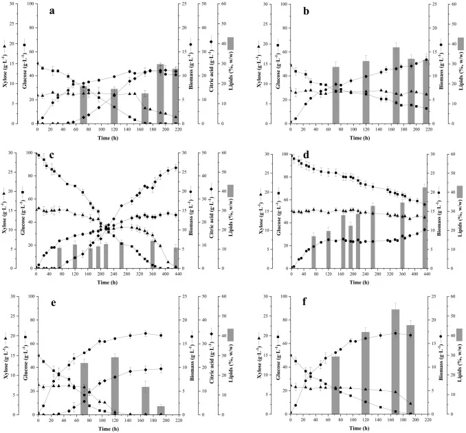 Yeast biomass (●), glucose (■), xylose (▲) and citric acid (♦) concentrations, and microbial lipids content (bars) obtained in batch cultures of Y. lipolytica W29 (left column) and Y. lipolytica NCYC 2904 (right column) carried out with EH-MM at a working volume of 57 % (a, b), EH-MM2 at a working v