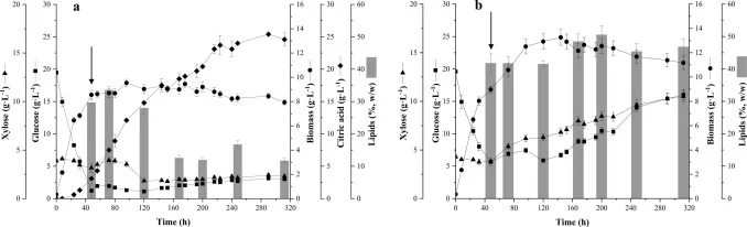 Yeast biomass (●), glucose (■), xylose (▲) and citric acid (♦) concentrations, and microbial lipids content (bars) obtained in fed-batch cultures of Y. lipolytica W29 (a) and Y. lipolytica NCYC 2904 (b) carried out at a constant feeding rate of 0.08 mL·min−1 (initial dilution rate of 0.005 h⁻¹). The