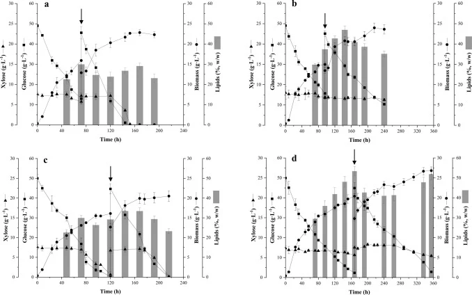 Yeast biomass (●), glucose (■), and xylose (▲) concentrations, and microbial lipids content (bars) obtained in repeated-batch cultures of Y. lipolytica W29 (left column) and Y. lipolytica NCYC 2904 (right column) carried out at different conditions: RB-A (a, b) and RB-B (c, d). The error bars repres