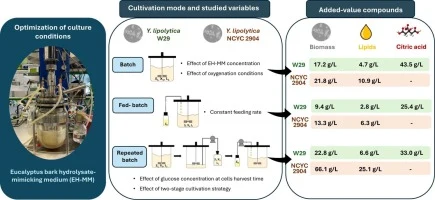 Exploring lipids and citric acid production by Yarrowia lipo