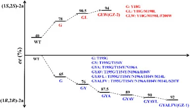 Routes of evolving HheG to enhance and reverse enantioselectivity in the reaction of substrate 1a with NaN3.