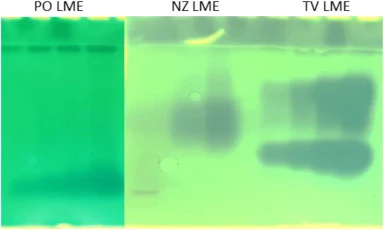 Laccase activity analysis on native gel. 10, 20, 30, and 40 μL of cell free broth from PO and TV were analyzed on Native gel and activity bands were detected by incubating in BTS containing buffer. Laccase standard from Novozymes were used for reference. LME: Lignin modifying enzyme., PO: Pleurotus