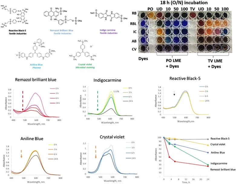 Decoloration of dyes using laccases from white rot fungi. Top. Various dyes used in industrial and medical industries and visualization of dye decoloration in a multiwall plate. Dyes were loaded in the first column for reference. RB: Reactive black 5; RBL: Remazol Brilliant Blue; IC; Indigocarmine;