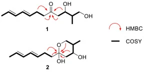 COSY and key HMBC correlations of venediols 1 and 2.