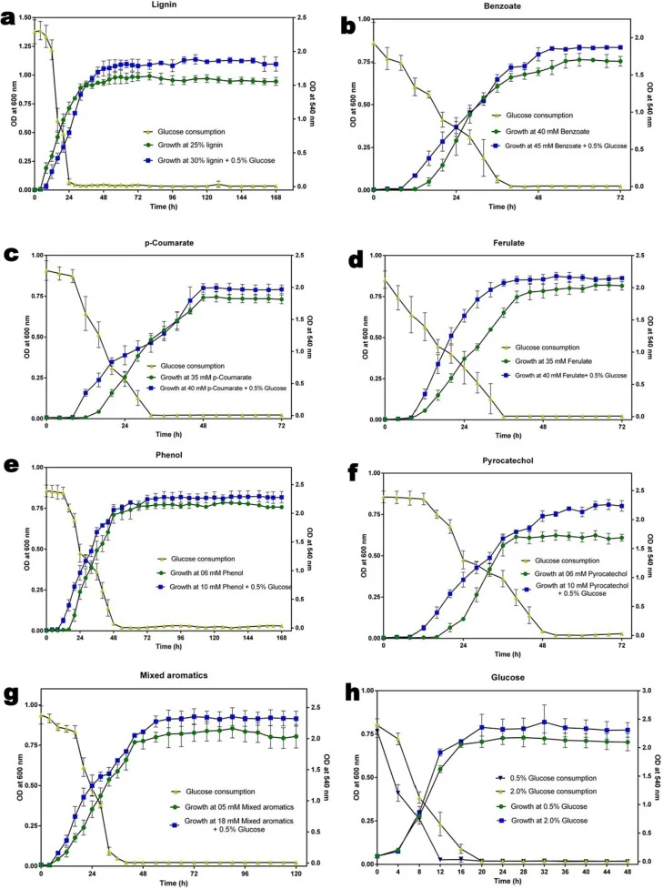 Growth profile of Pseudomonas putida KT2440 showing lag phases and rate of glucose consumption after adaptation in the presence or absence of glucose. Growth using a. lignin, b. benzoate, c. p-coumarate, d. ferulate, e. phenol, f. pyrocatechol, and g. Aromatics mix with and without glucose after ada