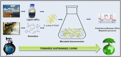 Biotransformation of toxic lignin and aromatic compounds of