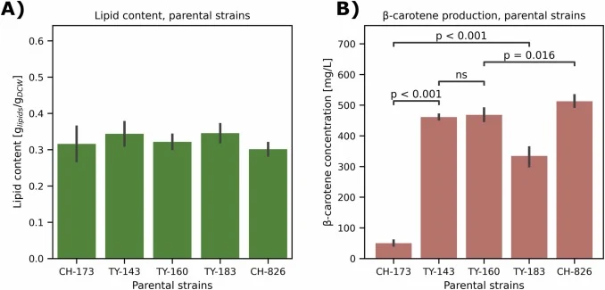 Production of lipids and β-carotene by the parental strains. Plot A) shows lipid content in the parental strains. Error bars represent standard deviations of three biological replicates. Plot B) shows the average β-carotene production. Error bars represent confidence intervals of 95 % (N=6). For sta