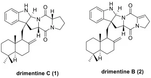 Drimentine C (1) 和 Drimentine B (2) 的化学结构。