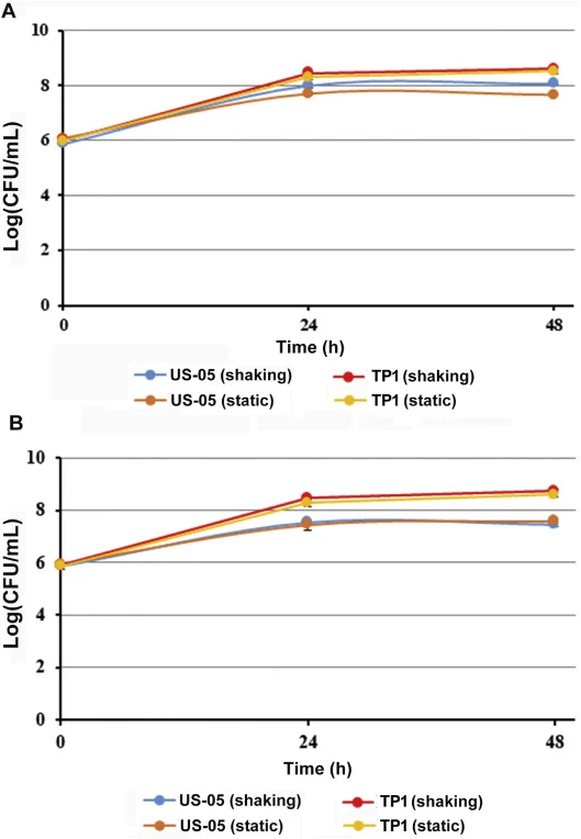 Growth characteristics of Saccharomyces cerevisiae US-05 and Pichia kluyveri TP1 under shaking and static culture conditions. Viable cell counts were measured for US-05 (a commercial brewing S. cerevisiae) and TP1 (P. kluyveri, a wild non-Saccharomyces yeast) under (A) single-inoculation and (B) mix