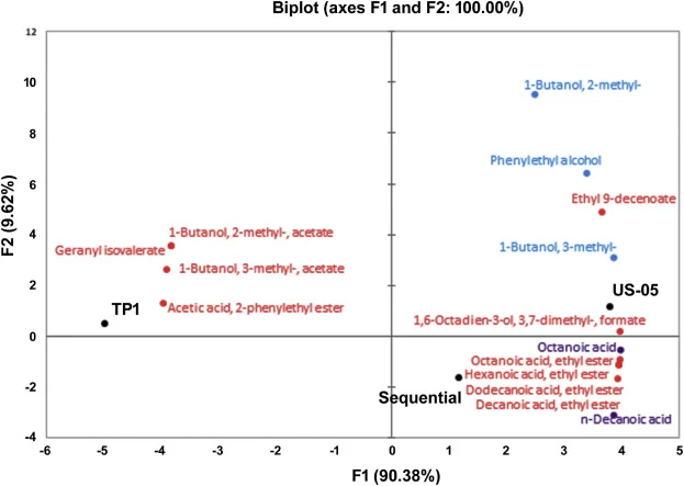 发酵啤酒样品中挥发性化合物的主成分分析(PCA)。基于HS-SPME-GC–MS鉴定的15种关键挥发性化合物的相对峰面积,对酿酒酵母(US-05)、克鲁维酵母(TP1)或顺序共发酵(Sequential)发酵的啤酒进行PCA分析。