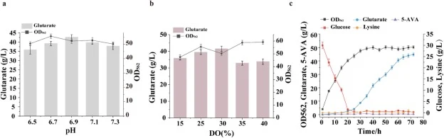 Optimization of production performance of E. coli RY29 in a 5-L bioreactor. (a) Optimization of pH levels for E. coli RY29 during fed-batch fermentation. (b) Optimization of dissolved oxygen (DO) levels by E. coli RY29 during fed-batch fermentation. (c) Fermentation results by E. coli RY29 under opt
