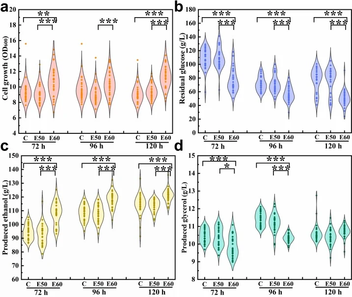Fermentation capability of S. cerevisiae colonies of the original strain (C), those evolved from 40 to 50 g/L ethanol (E50) and those evolved from 40 to 60 g/L ethanol (E60). (a) The determined OD600 values of tested colonies after 72 h, 96 h, and 120 h cultivation; (b) The residual glucose in cultu