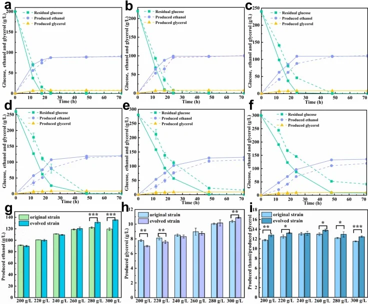 Comparison of ethanol production capability of the original strain and the evolved strain in media containing different concentrations of glucose. Residual glucose, produced ethanol, and produced glycerol profiles during fermentation with initial glucose concentration of 200 g/L (a), 220 g/L (b), 24