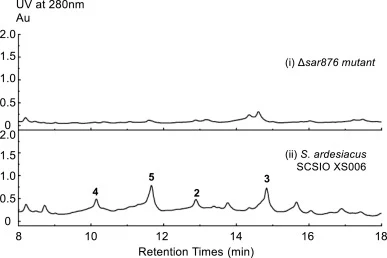突变株Δsar876 (i) 和野生型 S. ardesiacus SCSIO XS006 (ii) 发酵提取物的HPLC分析。