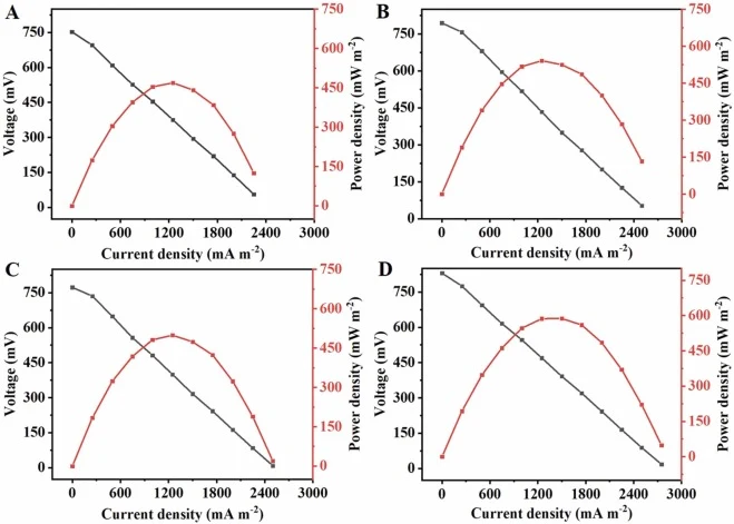 The power density and polarization curves of BP fueled MFC (A), BP+CA fueled MFC (B), BP+DBT fueled MFC (C), and BP+CA+DBT fueled MFC (D).
