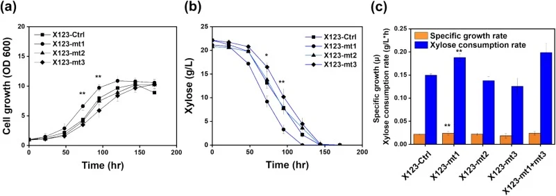 Fermentation profiles of reverse-engineered mutants; (a) Cell growth, (b) Xylose consumption, (c) Specific growth rate, and xylose consumption rates. The student’s t-test was conducted to describe statistical differences between mutants and control. Only the X123-mt1 strain (YALI0B12100p reversely e