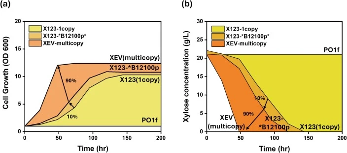 扩增的XR、XDH、XK及GTP酶激活蛋白(YALI0B12100p)点突变(S409F)对XEV菌株木糖同化能力增强的贡献示意图;XEV菌株90%的木糖消耗能力来自扩增的氧化还原酶途径。