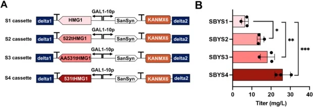 Rational design and functional evaluation of HMG1 truncation variants for enhanced α-santalene biosynthesis. A. Schematic of engineered cassettes for co-expression of HMG1 (full-length or truncated) and santalene synthase under the GAL1-10 promoter, integrated at the δ loci in the yeast genome. The