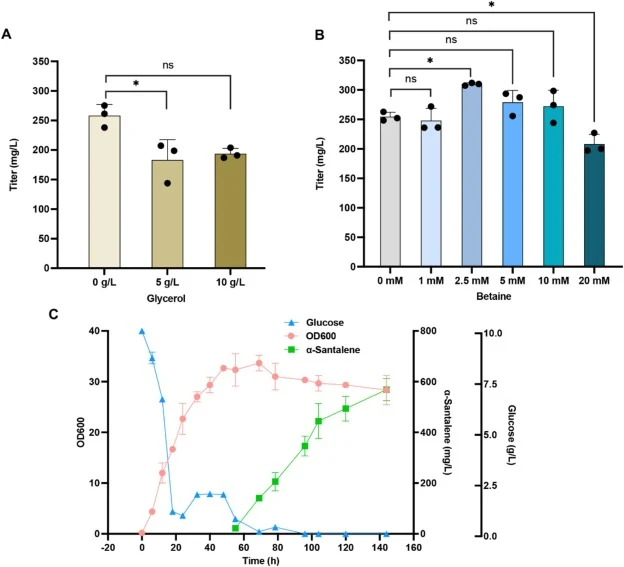 Effects of medium additives and fed-batch fermentation on α-santalene production in engineered yeast. A. Effect of glycerol supplementation at different concentrations on α-santalene titer in strain SBYS4-A1-B2-R during shake flask fermentation. B. Effect of betaine supplementation at various concen