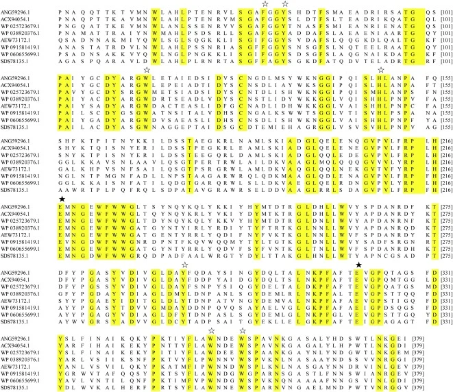 multiple analysis of amino acid sequences of Bman26 A with other published manna-degrading enzymes. The Genbank accession numbers of these enzymes are listed in the left side of the figure. Amino acid sequences listed include those of manna-degrading enzymes from Bacillus sp. MK-2 in this study (ANG