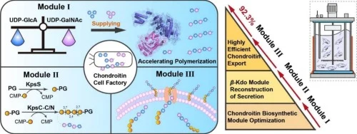 Reprogramming the intrinsic capsular polysaccharide biosynth