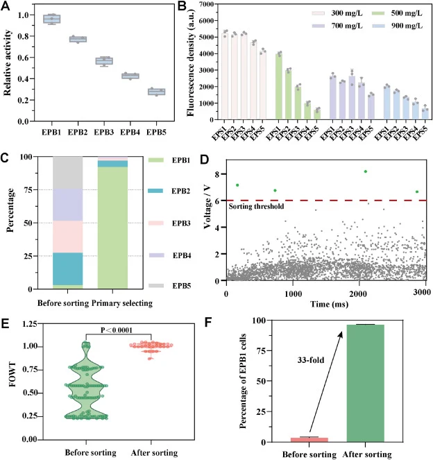 Optimization and assessment of the DTSP. (A) The relative activity of EPB1-5. (B) The activity of EPB1-5 at different concentrations was detected by TD3 and presented according to fluorescence. (C) The proportion of each strain in the artificial droplet library. (D) Time series analysis of the artif