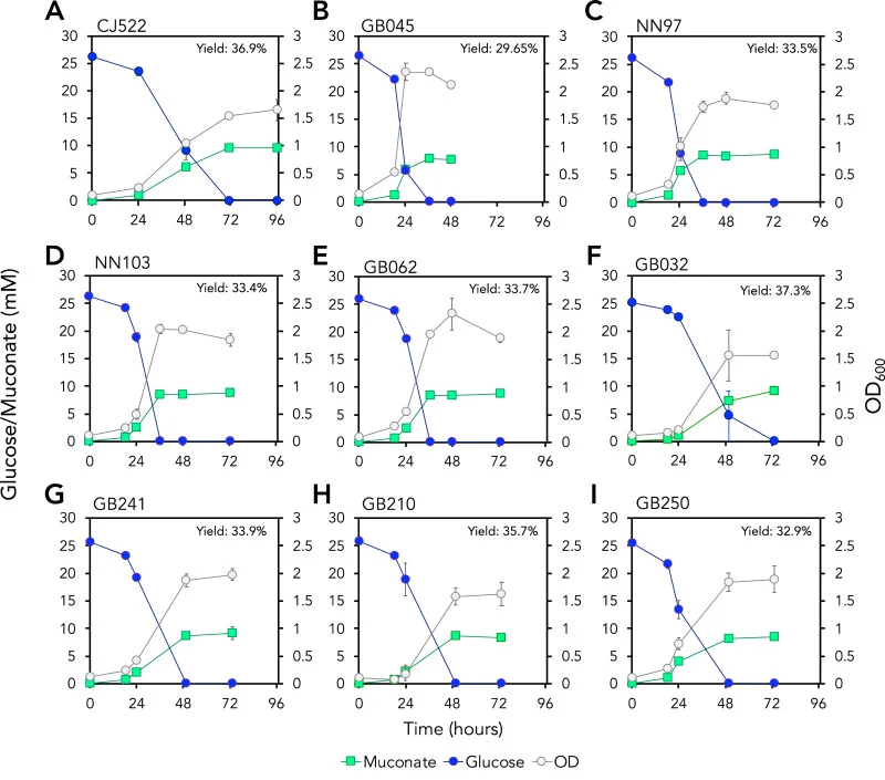 Shake flask characterization of engineered and evolved strains. (A) Performance of CJ522, (B) GB045 (CJ522 evolved isolate 80), (C) NN97 (sorted isolate 1), (D) NN103 (sorted isolate 9), (E) GB062 (CJ522 ΔhexR), (F) GB032 (CJ522 ΔgltR1), (G) GB241 (CJ522 ΔgntZ), (H) GB210 (CJ522 ΔgacS), (I) GB250 (C