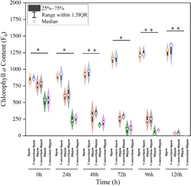 不同Cu浓度(0、40、80 ppm)对微藻与联合体组中斜生栅藻叶绿素a含量在120 h处理期间的影响。星号表示显著差异(平均值±SD,n = 5;*p < 0.05,**p < 0.01)。